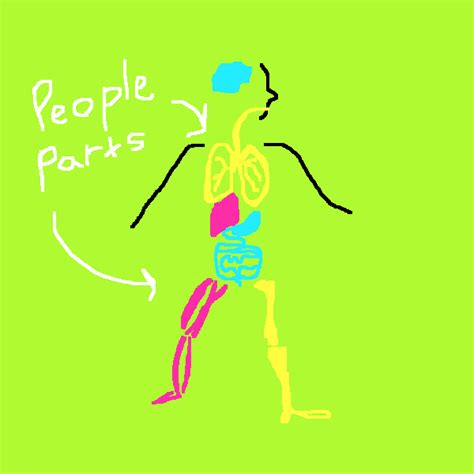 Body Parts Animation  By Amy Ciavolino Find And Share On Giphy