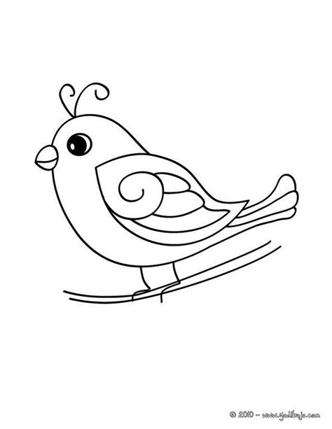 Pájaro Pajaros para colorear, Dibujos de aves, Pájaros bonitos