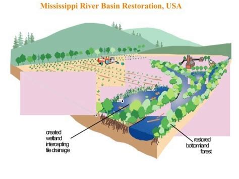 Mississippi River Basin