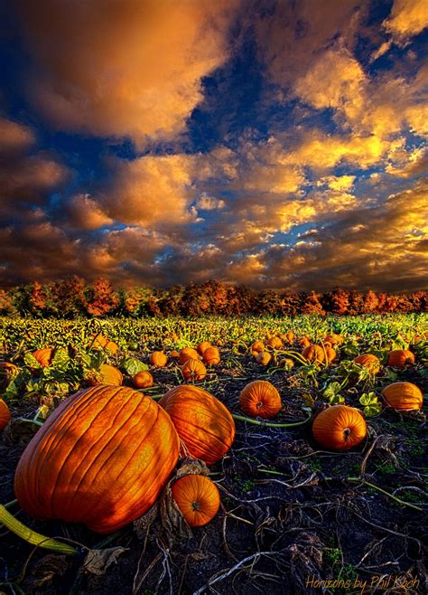 Pumpkin Crossing Fall Pictures Autumn Scenes Autumn Scenery