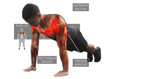 I am a big fan of push ups. Push-Ups: How To Use Them To Build Muscle (4 Science-Based ...