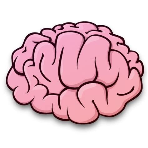 Cartoon Brain Png Transparent Pikbest Has 247 Cartoon Brain Design