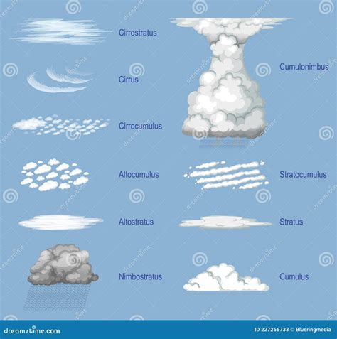 The Different Types Of Clouds With Names Stock Vector Illustration Of