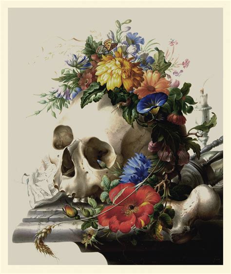 Skull Flowers Still Life Free Stock Photo Public Domain Pictures