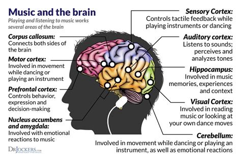 Why Music Is Important To Your Brain It Can Literally Save Your Life