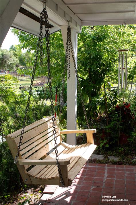 Front Porch Swing Phillips Natural World 103