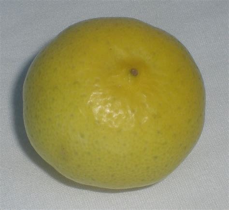 Because key limes imported from mexico are super authentic. Key lime - Wikipedia