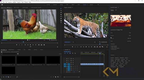 In this tutorial i go over the simplest way to get started editing in adobe premiere cc. Adobe premiere pro - YouTube