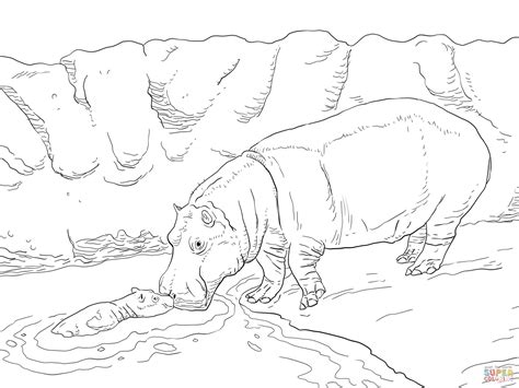 Mother Hippo With Baby In A Water Coloring Page Free Printable