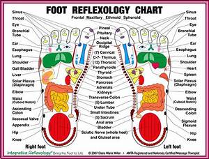 Foot Reflexology Juri Coaching