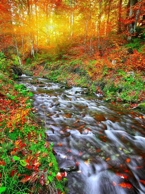Rapid Mountain River In Autumn Stock Photo Image Of Exposure