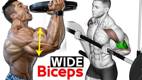 6 Best Exercises For Wider Biceps Mens Fitness Beat