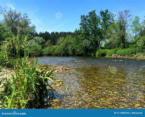 Picturesque River Flowing Through The Peaceful Forest Stock Photo