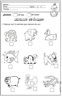 Imagenes Para Colorear Animales Oviparos Y Viviparos - Impresion gratuita