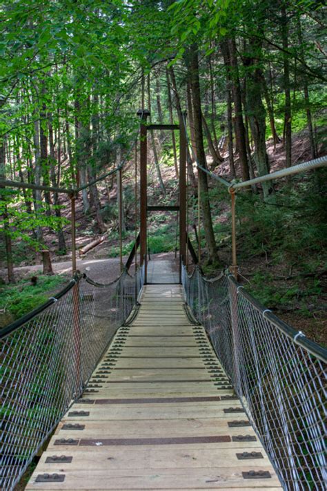 8 Amazing Things To Do In Cook Forest State Park Uncoveringpa
