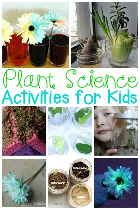Must Try Plant Activities Kids Will Love