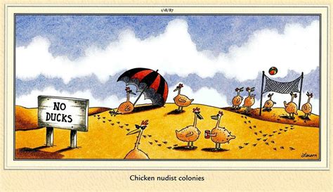 The Far Side Gary Larson Cartoons Cartoon Chicken Funny Cartoons
