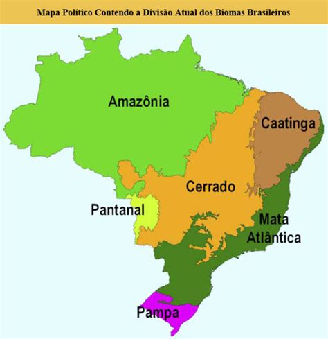 No Mapa Estão Representados Os Biomas Brasileiros EDUCA