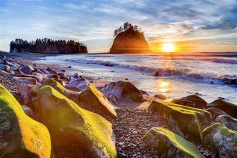 Olympic National Park 5 Day Road Trip Itinerary Bearfoot Theory