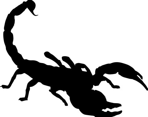 Scorpion Silhouettes Clip Art Library