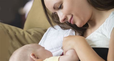 علت کم یا بی کیفیت بودن شیر مادر چیست؟ روزیاتو