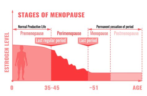 Pro Pell Provider Portal The Three Stages Of Menopause And Bio Identical Hormones