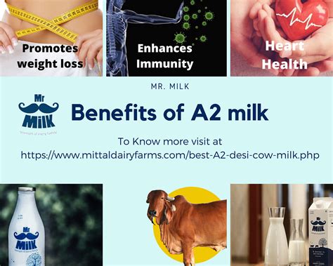 A2 Milk In Pune Benefits Of Drinking Pure Desi Cow Milk By