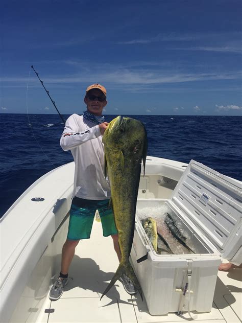 32 Pound Mahi Mahi Caught This Weekend Florida Keys Rfishing