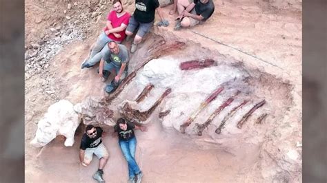 緑の五寸釘 On Twitter Rt Reutersjapan ポルトガルで巨大な草食恐竜の骨格を発掘 全長25mの竜脚類、欧州最大か（字幕・30日）