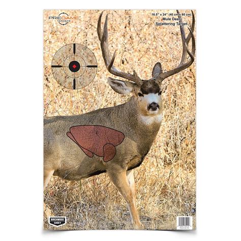 Birchwood Casey Pregame 165x24 Inch Mule Deer Shooting Target 3