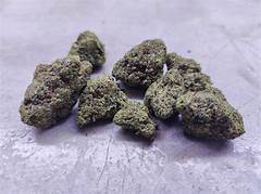 What You Didn%e2%80%99t Know About The Best Exotic Weed In Southern California For 2024