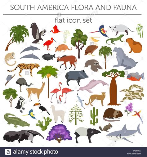 Pembahasan kali ini berisi tentang informasi gambar flora mulai dari sketsa ataupun kartun. Doodle Gambar Flora Dan Fauna Simple di 2020 | Gambar ...