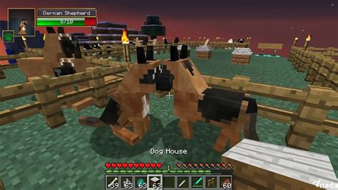 Download Minecraft Doggy Style Mod 1710