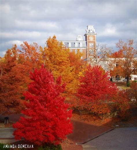 Click Click Zoom Photography Fall Day At University Of Arkansas