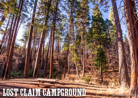 Check spelling or type a new query. Camping Near Yosemite's Big Oak Flat Entrance • James Kaiser