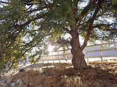 Kern Valley News And Info Facebook