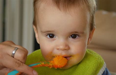Feeding Solid Foods To Infants In Child Care Extension Alliance For