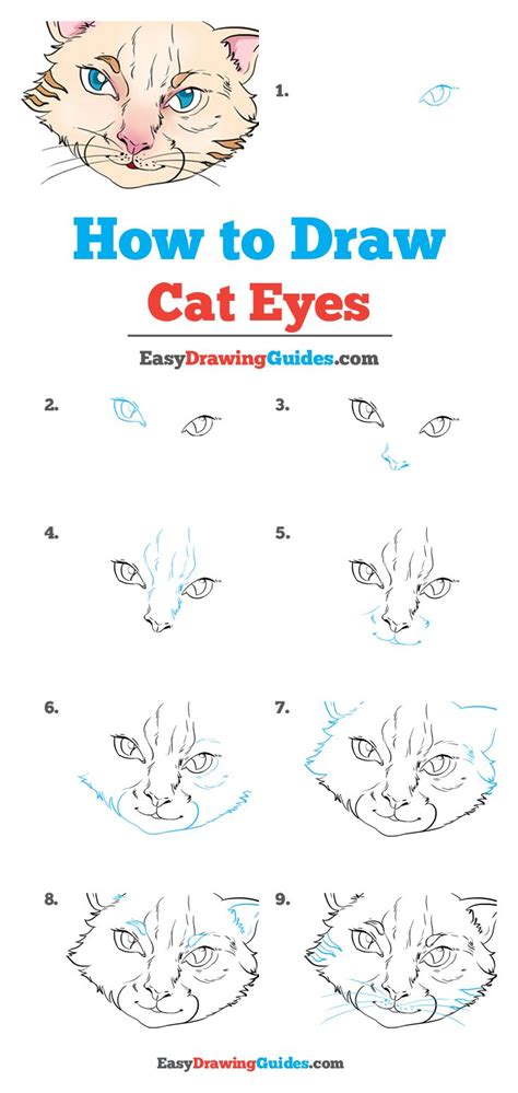 How To Draw Cat Eyes Really Easy Drawing Tutorial How To Draw Cat