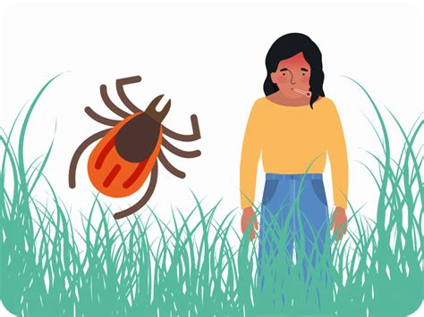 The most common symptom is a rash that spreads out from the site of the bite. Boala Lyme și tot ce ar trebui să știi despre ea - Synevo