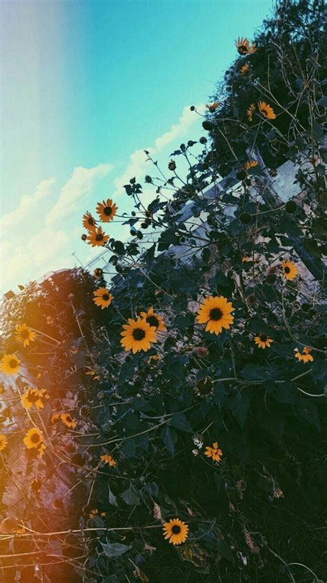 Vintage is an umbrella term used to refer to aesthetics which evoke a certain period (or mixture of periods) from the past. Iphone Vintage Aesthetic Lockscreen | ipcwallpapers