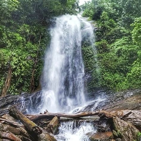 Visit Hidlumane Falls In Shimoga To Trek Lbb Bangalore