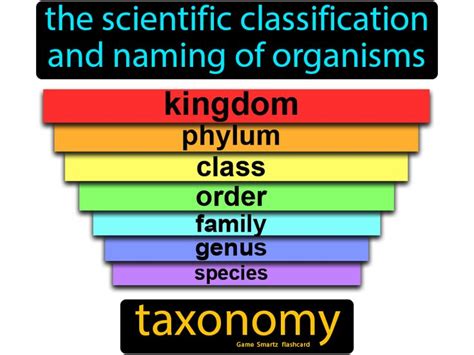 Taxonomy The Scientific Classification And Naming Of Organisms In 2020 With Images Science