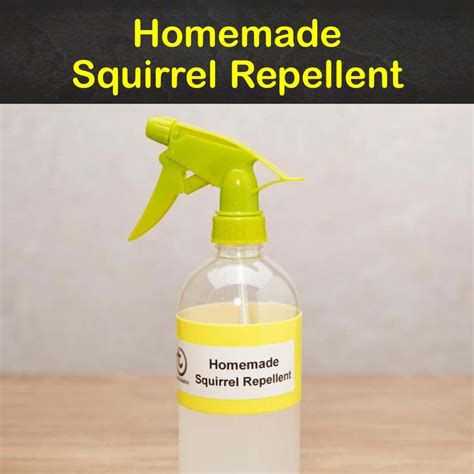 Will Cayenne Pepper Keep Squirrels Away From Bird Feeders - Home Remedy To Keep Squirrels Away From Bird Feeders