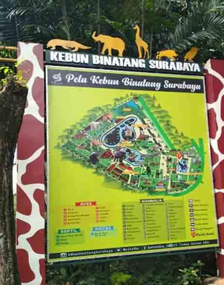 Harga Tiket Masuk Kebun Binatang Surabaya Terbaru Informasi Aktual