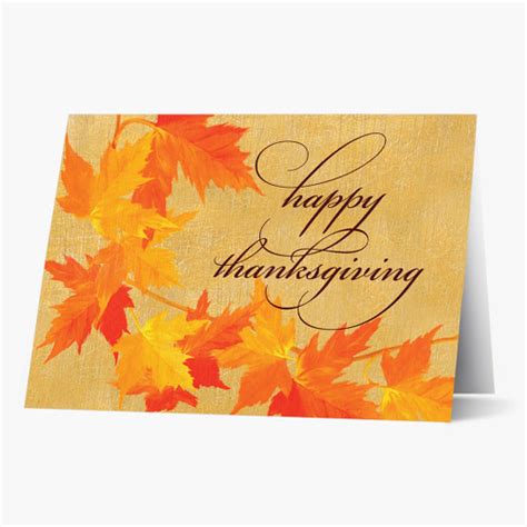 Happy Thanksgiving Cards Custom Thanksgiving Cards Cards For Causes