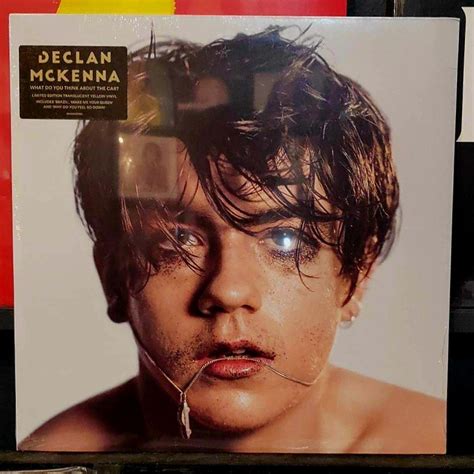 declan mckenna what do you think about the car limited edition [yellow vinyl lp] on carousell