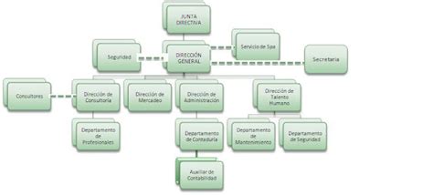 Consultores Arj And Spa Estructura Organizativa Carj And Spa