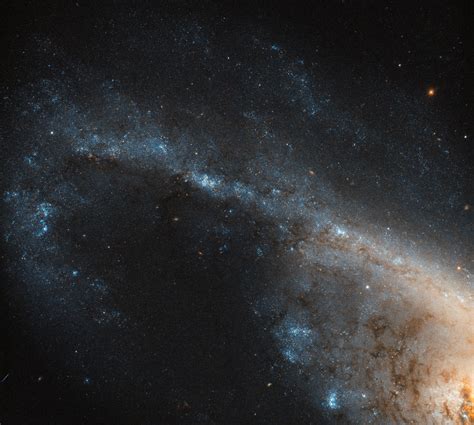 Hubble Spots A Stunning Starburst Galaxy Called Ngc 4536 1280x1425