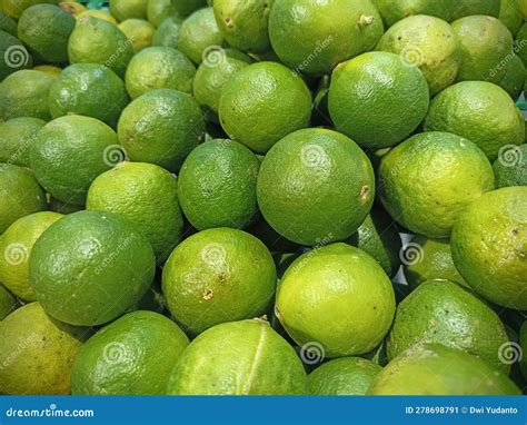 Zesty Limes Await: a Burst of Freshness in Every Aisle! Stock Image