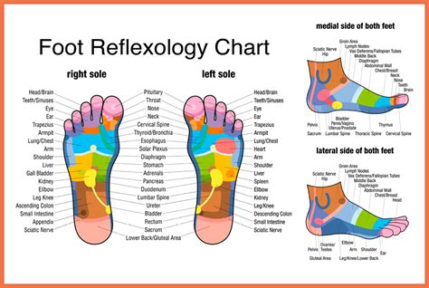 Reflexology The Therapy Lounge Fleet Hampshire